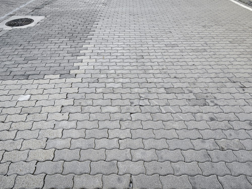 IMG 20230918 085152.jpg