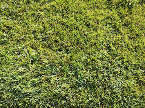 IMG 20230918 085041.jpg