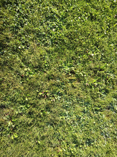 IMG 20230918 084952.jpg