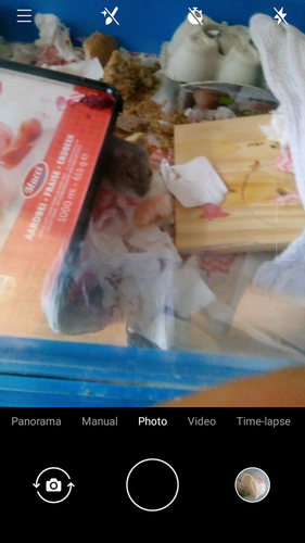 Screenshot 20220816 175415.png