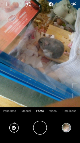 Screenshot 20220816 175547.png