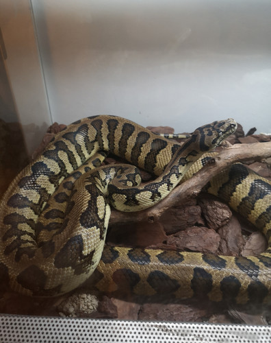 IMG 20230918 080211.jpg