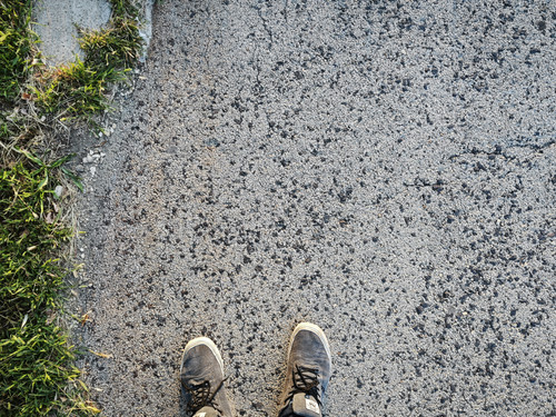 IMG 20230918 070847.jpg