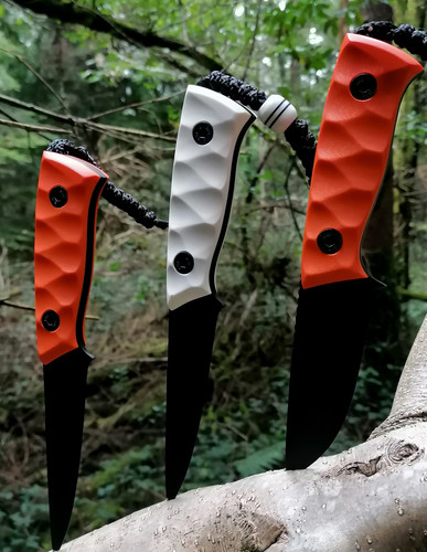 IMG 20230916 205428.jpg