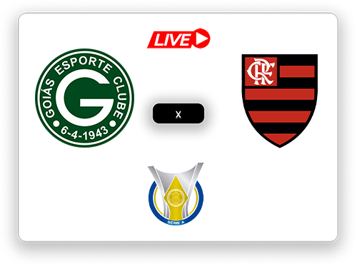 Goiás x Flamengo Brasileiro Série A.png