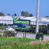 samast (70)