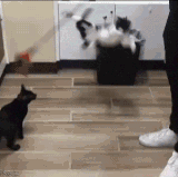 ezgif 1 bcac879da7a3.gif