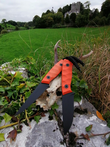 IMG 20230916 180446.jpg