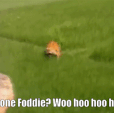 ezgif 2 e97406190e.gif