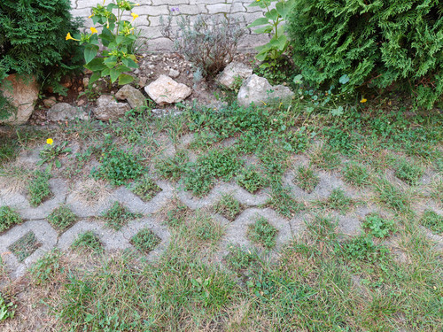 IMG 20230914 183431.jpg