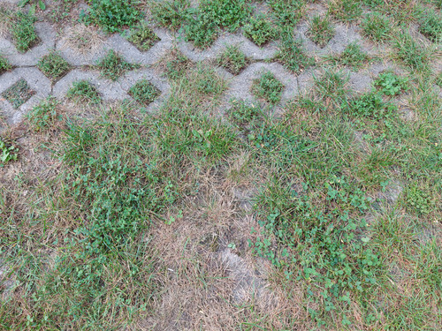 IMG 20230914 183429.jpg