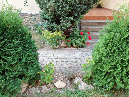 IMG 20230914 183422.jpg