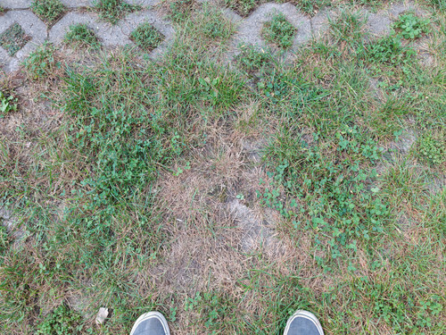 IMG 20230914 183428.jpg