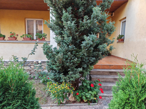 IMG 20230914 183424.jpg