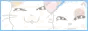 10154.gif