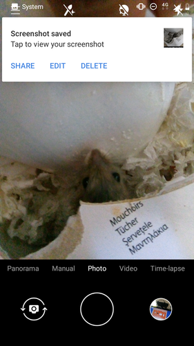 Screenshot 20220803 124246.png