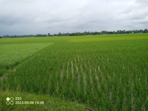 IMG 20230908 144813 567.jpg