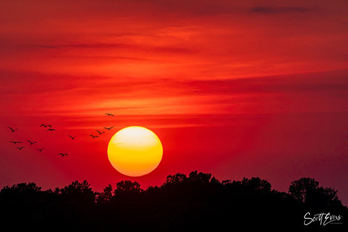 A large fireball apperance from the setting sun at the Riverlands Migratory Bird Sanctuary in West. .jpg