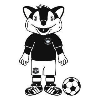 Carlisle Mascot Image.jpg