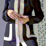 ero11.gif