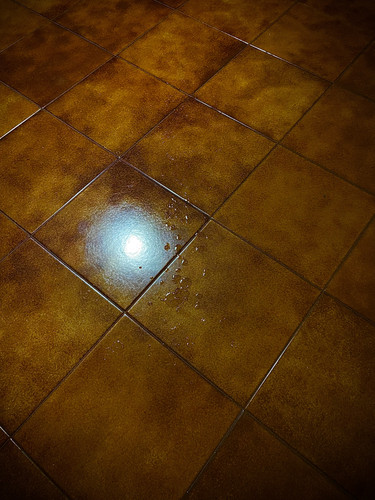 IMG 7049.jpg