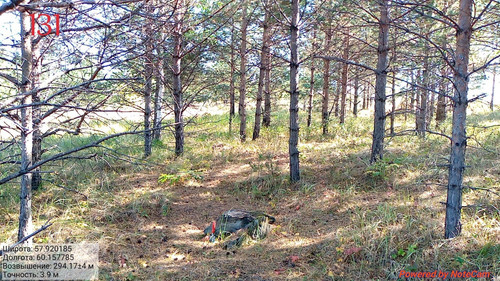 IMG 4874.jpg