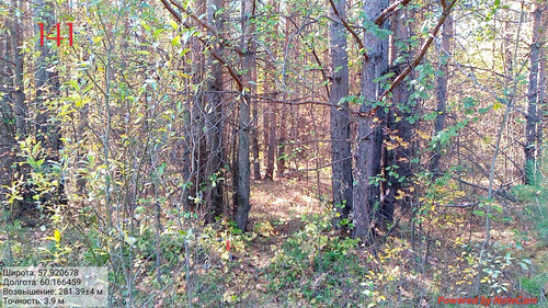 IMG 4894.jpg