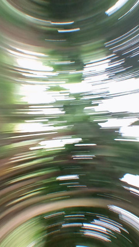 image.jpg