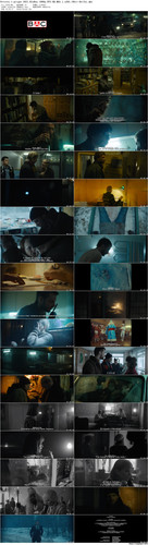 Petrovy.v.grippe.2021.BluRay.1080p.DTS HD.MA5.1.x265.10bit BeiTai preview.jpg