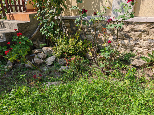 IMG 20230827 140310 Original.jpg