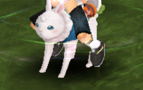 wonder Bunny.png