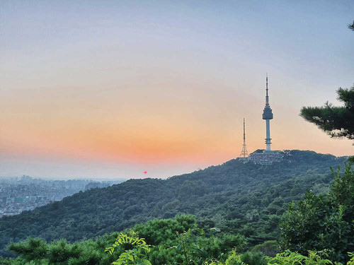namsan11 optimized.jpg