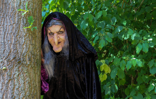 witch 3693374 1920.jpg