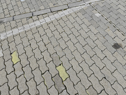 IMG 20230203 080516.jpg