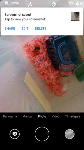 Screenshot 20220811 161228.png