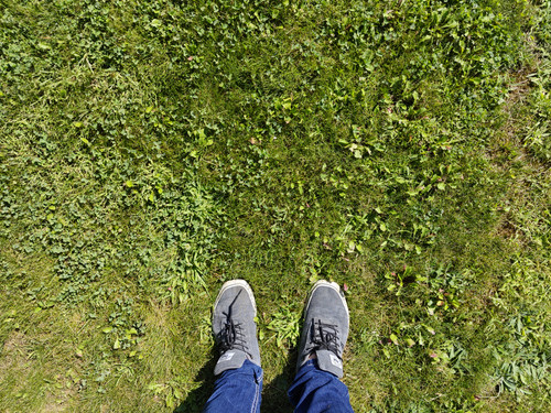 IMG 20230915 124037.jpg