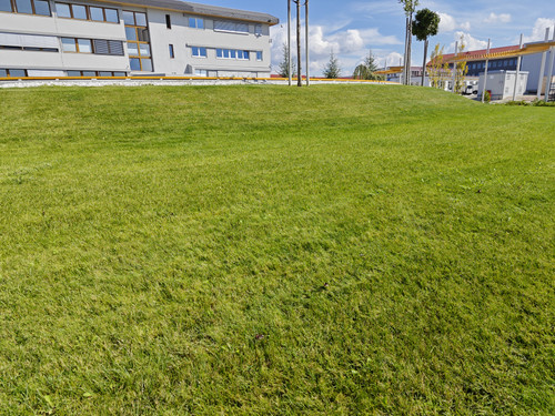 IMG 20230915 124121.jpg