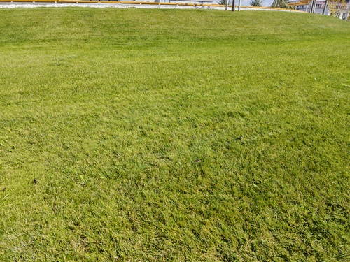 IMG 20230915 124128.jpg