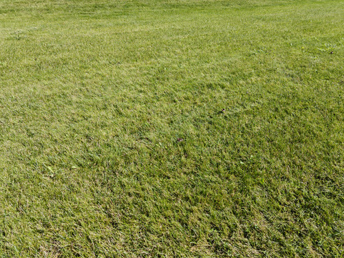IMG 20230915 124124.jpg