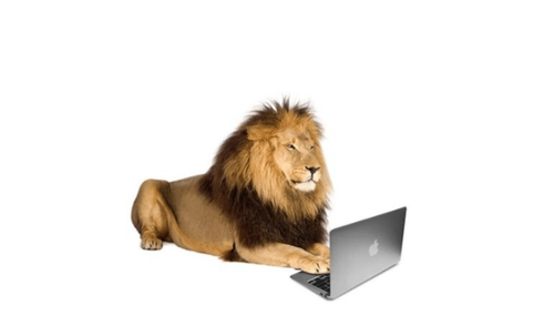 Immagine 3 696x422.png