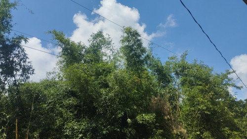 IMG 20230704 102148.jpg