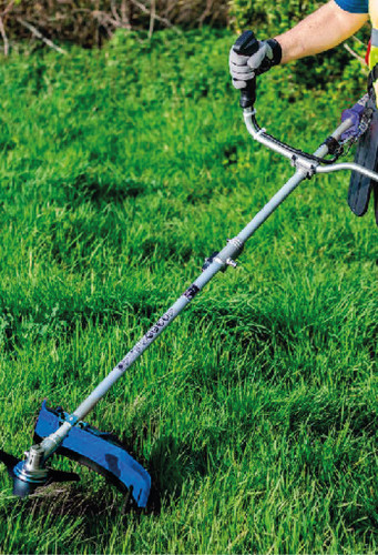 nuevas nuevas 12.jpg