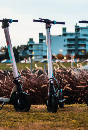 nuevas nuevas 13.jpg