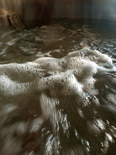 IMG 2023 09 12 18 51 50 224.jpg