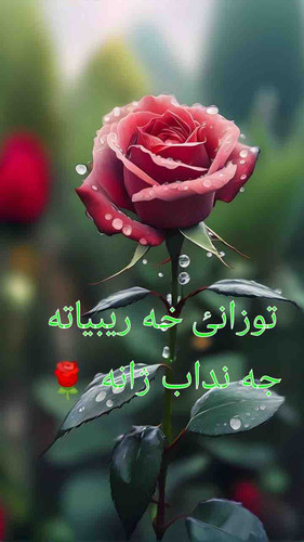 EBD87AC7 01AB 46AA 974D 2813DC2FADAE.jpg