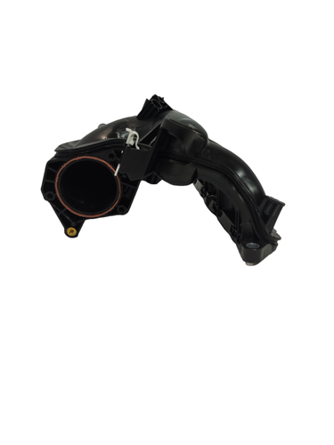 PhotoRoom 20230912 150858.png