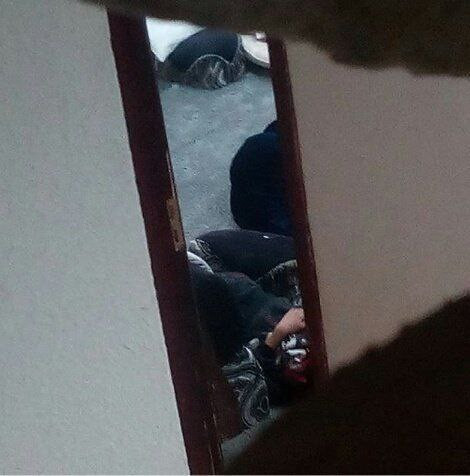 IMG 20230912 191230 004.jpg