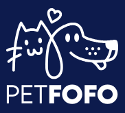 logo com fundo.webp