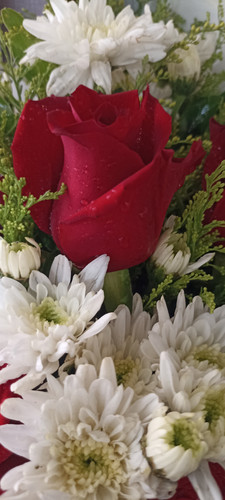IMG 20230915 081941.jpg