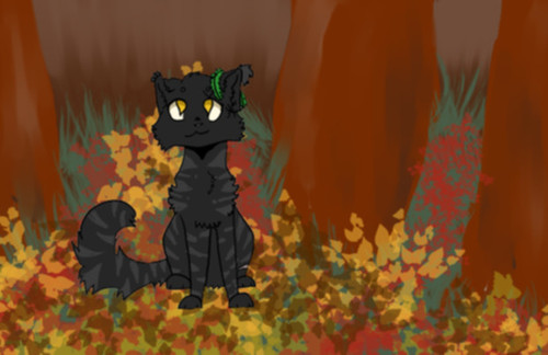Blackpaw/fern.jpg